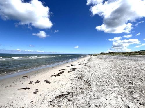 a beach with footprints in the sand and the ocean at Holiday Home Galathea - 175m from the sea by Interhome in Nykøbing Sjælland