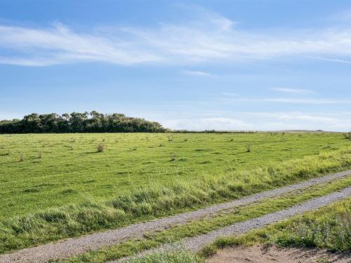 Holiday Home Aatos - 250m from the sea by Interhome في Knebel: طريق ترابي وسط حقل أخضر