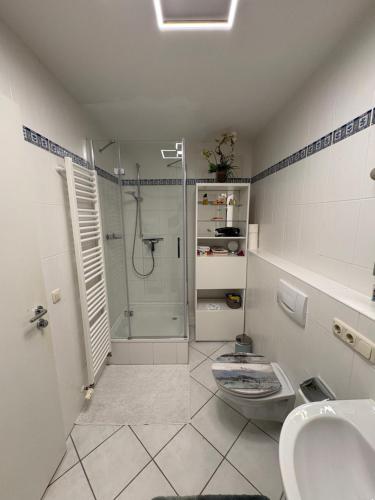 a bathroom with a shower and a toilet and a sink at Gemütliches Zimmer nähe München in Aschheim