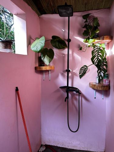 a bathroom with plants on a pink wall at Jinja Jungle Glamping Tent 2025 in Jinja