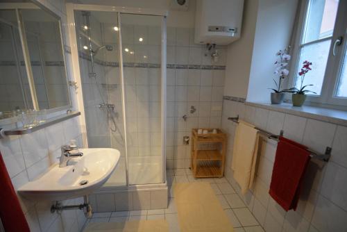 a bathroom with a sink and a shower at Haus Ferdinand in Fernitz