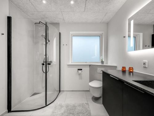 a bathroom with a shower and a toilet and a sink at Holiday Home Elisaveta - 400m to the fjord by Interhome in Vemb