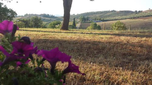 Φυσικό τοπίο κοντά σε αυτό το διαμέρισμα