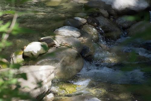 a stream of water with rocks in a river at Maison en Provence ancien moulin in Entrepierres