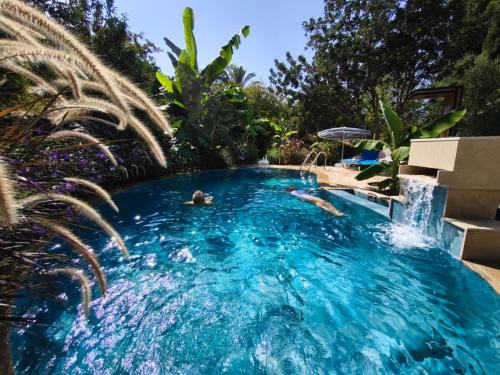 a pool with two people swimming in it at A historic STONE VILLA with private garden, terrace and private pool just for you in Kliru