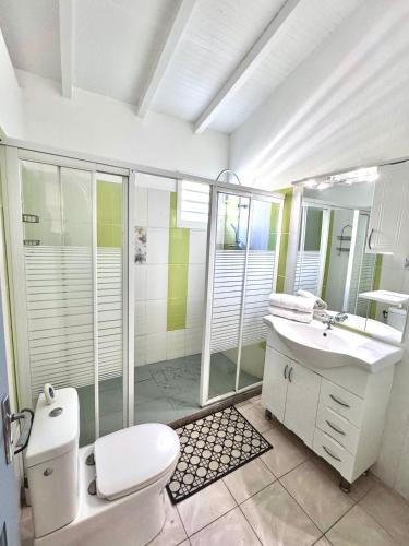 a bathroom with a toilet and a sink and a shower at Ameli'ber in Sainte-Rose