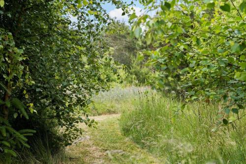 a path through a hedge in a field at 10173-Ulfborg-Gaffelbjergvej-24 in Øhuse