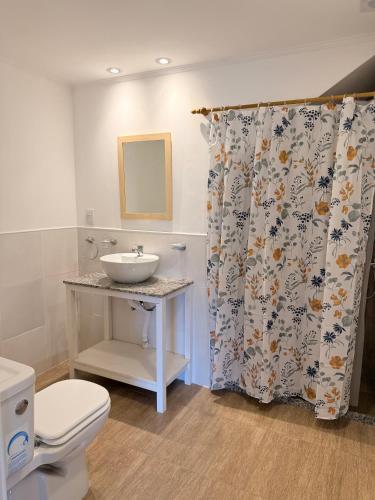 a bathroom with a sink and a shower curtain at Apart Patagonia Bolson in El Bolsón