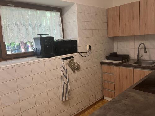 a kitchen with a sink and a microwave at Ubytování ve vinici in Hustopeče
