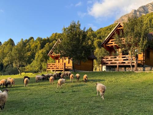 Bujtina Pepushaj Lepushe