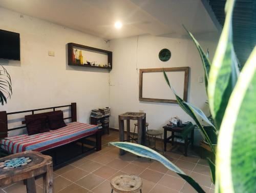 a room with a bed and a mirror on the wall at Hermoso Palomino in Palomino