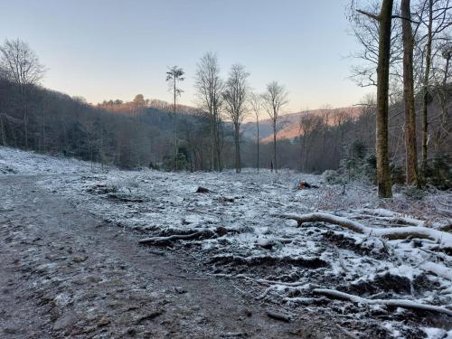 a dirt road with snow on the ground and trees at Au pied de La Redoute in Sougné-Remouchamps