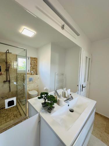 a white bathroom with a sink and a shower at Mountain View House Brasov in Braşov