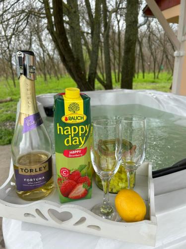 a tray with a bottle of champagne and fruit and wine glasses at Varázslakos Tanya in Soltvadkert