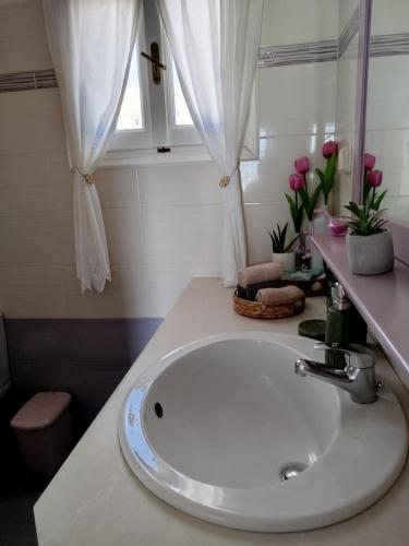 a bathroom with a white sink and a mirror at Captain George in Liaropá
