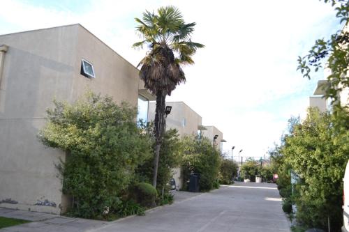 a palm tree on a sidewalk next to a building at De Triana Hotel in Rancagua