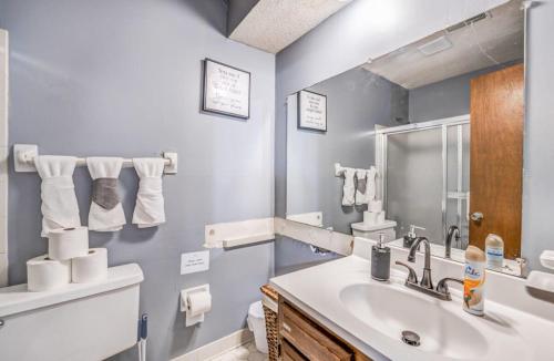 a bathroom with a sink and a toilet and a mirror at Wildwind Charmer in Memphis