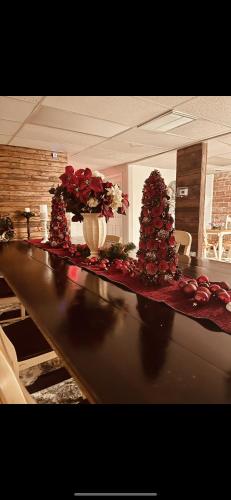 a counter with two christmas trees on top of it at Boone Trace Inn Room 4 in Pineville