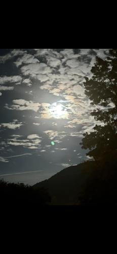 a cloudy sky with a tree in the foreground at Boone Trace Inn Room 4 in Pineville
