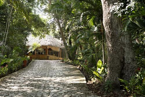 a cobblestone road in front of a house at Hotel Jungle Lodge Tikal in Tikal