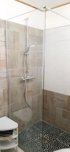 a shower with a glass door in a bathroom at Gîte L'adérobade in Le Gosier