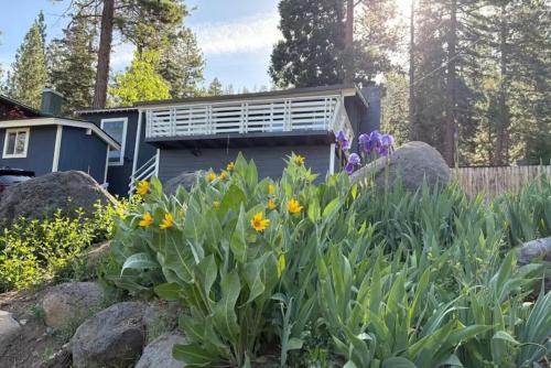a garden with flowers in front of a house at Bluejay Hideaway by Tahoe Getaways - Kings Beach 3 BR Pet Friendly w Enclosed Yard and Hot Tub in Brockway Vista