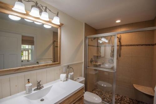 a bathroom with a sink and a toilet and a mirror at Retriever Beach - New River-frontage with Your Own Private Beach! Fire Pits - Games and More! in Glendale Springs
