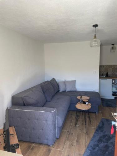 a living room with a blue couch and a table at The Tara Concept in Šljivovica