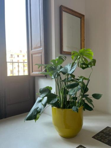 Galleria Cutò - Art Boutique Rooms photo 33