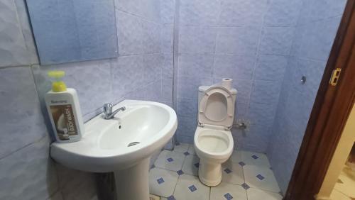 a bathroom with a sink and a toilet at Highway Studio Kinoo in Kikuyu
