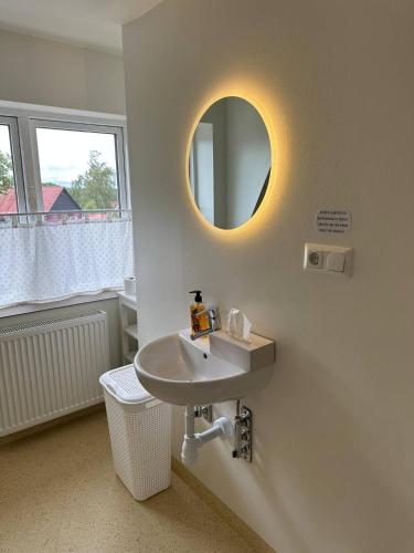 a bathroom with a sink and a mirror on the wall at SteneBo 