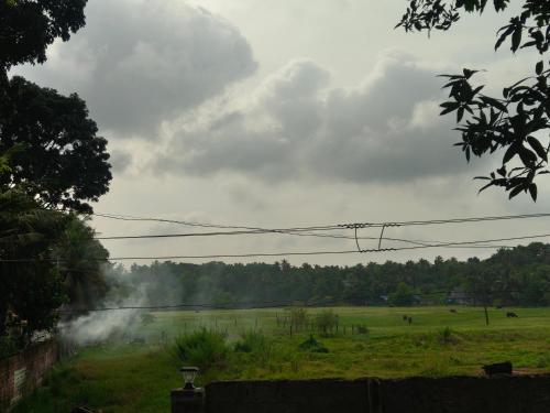 a foggy field with a field with cows in it at Paddy's Abode in Kappil
