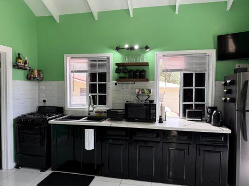 a kitchen with green walls and a black refrigerator at Maggie's Inn in Soufrière