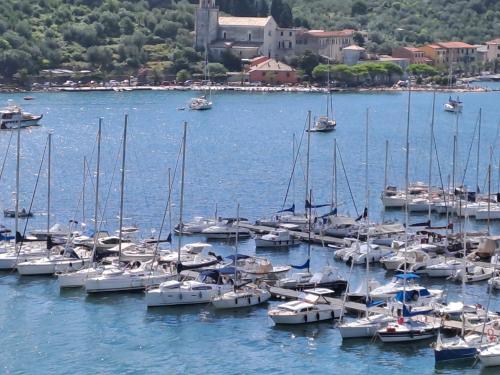 Φυσικό τοπίο κοντά σε αυτό το διαμέρισμα