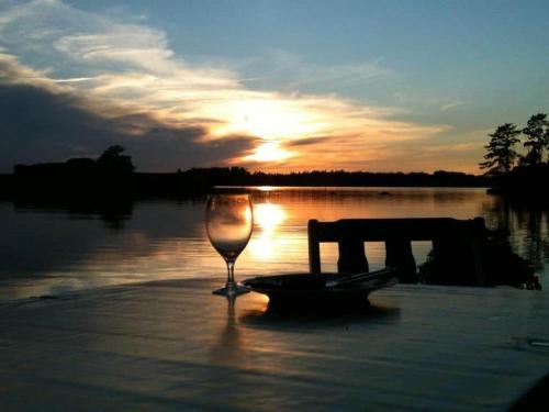a wine glass sitting in front of a body of water at KRO175-Vaexjoe-Hissoevaegen-7 in Hov