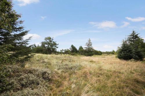 a field of tall grass with trees in the background at JB329-Brovst-Egernvej-29 in Bratbjerg