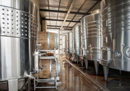 a room with a row of wine barrels in a brewery at Postales by DOT Boutique in Colonia Las Rosas