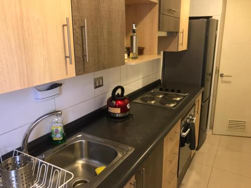 a kitchen with a sink and a stove top oven at Lagos Temuco in Temuco