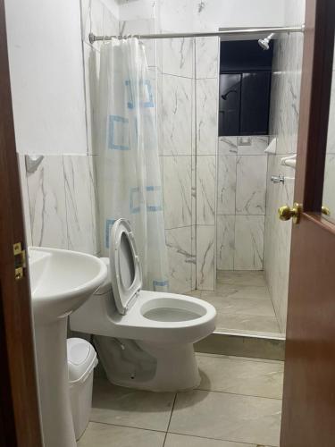 アンダワイラスにあるHotel Castilla Andahuaylasのトイレ、洗面台、シャワー付きのバスルーム