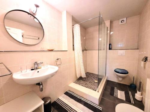 Gîte de France Le noyer 2 épis - Gîte de France 2 personnes MAE-9474 في Saint-Germain-les-Vergnes: حمام مع دش ومغسلة ومرحاض