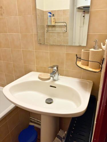 a bathroom with a white sink and a mirror at Refuge nature avec vue panoramique La Preste in Prats-de-Mollo-la-Preste