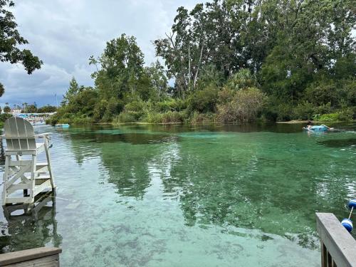 a view of a river with a chair in the water at Hogar in Port Richey