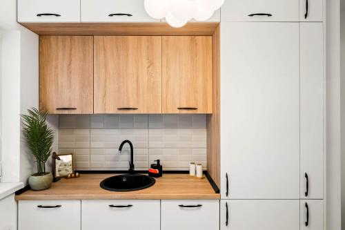 a kitchen with a sink and wooden cabinets at NeoLoft 1st in Popeşti-Leordeni