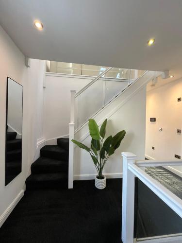 Fotografie z fotogalerie ubytování Central duplex Apt in Leamington Spa v destinaci Leamington