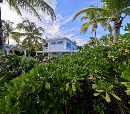 a house on the beach with palm trees and bushes at Townhouse Villa 2 The Village at Hoopers Bay in New Providence Island