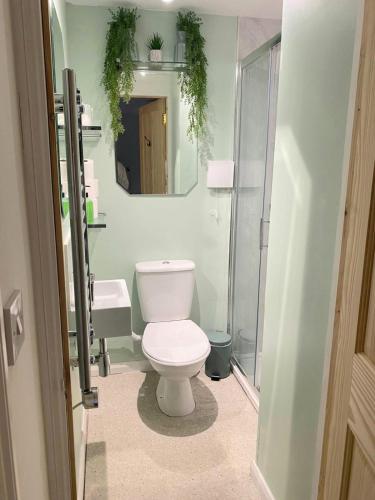 a bathroom with a toilet and a sink and a mirror at Cute Cornish Cottage in Saint Germans