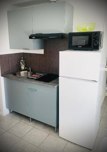 a kitchen with a white refrigerator and a microwave at 15D Vinatier Grange Blanche Bron Essarts in Bron