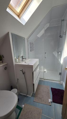 Koupelna v ubytování Self-contained 4 BHK property with picturesque landscape and huge gated parking space
