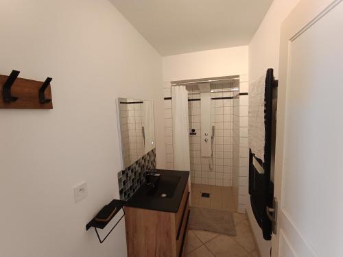 a bathroom with a sink and a shower at Aux lits de la loire in Champtoceaux