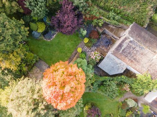 an overhead view of a garden with a tree at Meadowcroft in Lindale